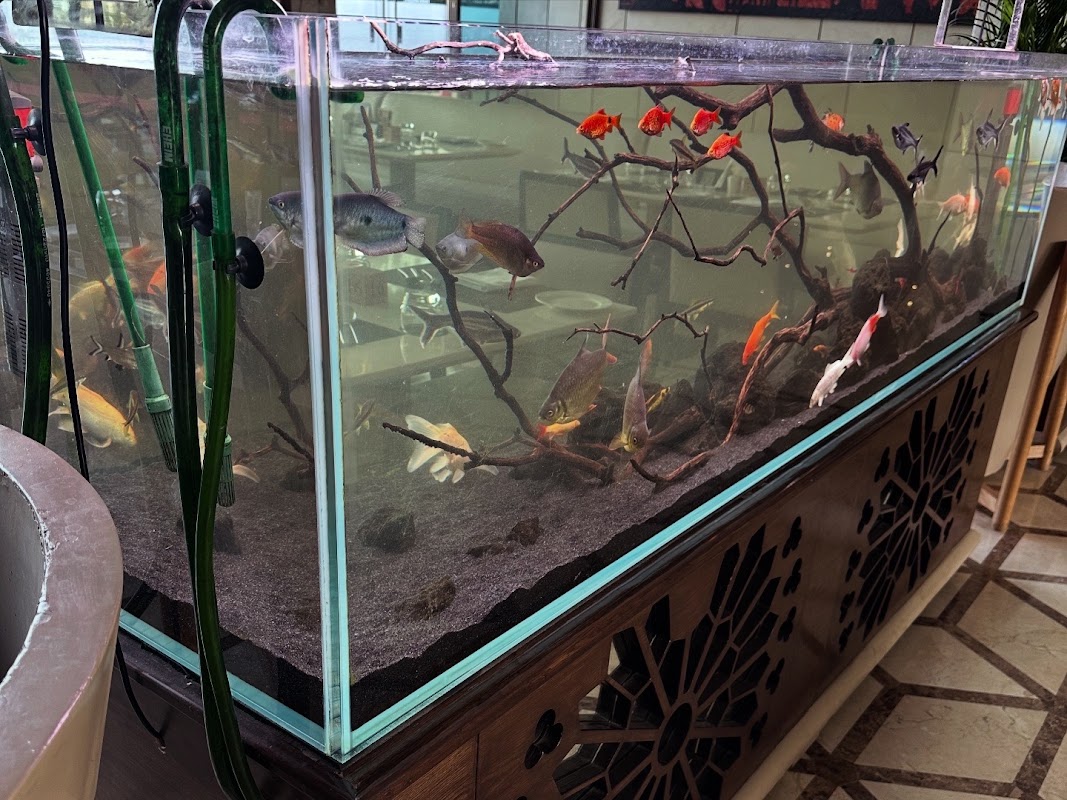 Donor Aquarists store photo 11