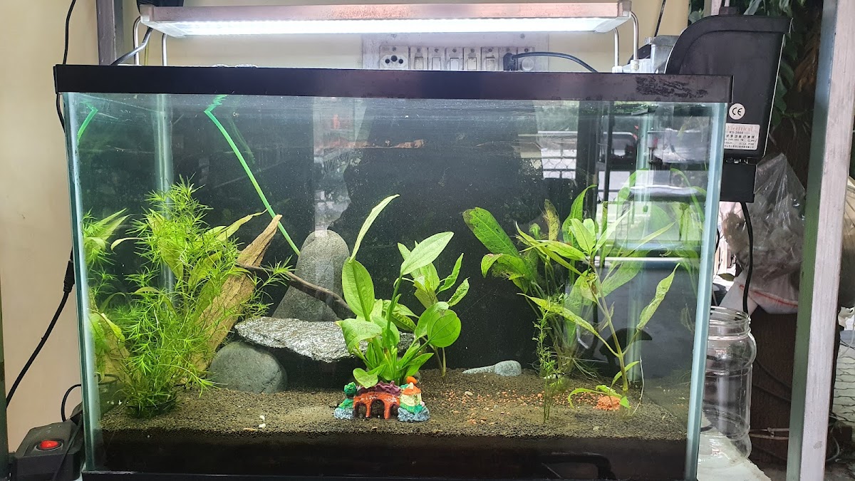 Donor Aquarists store photo 12