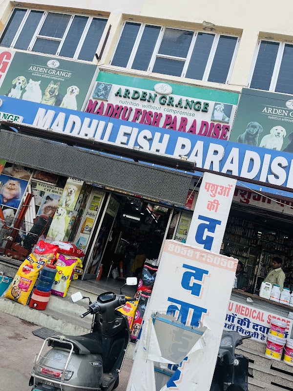 Donor Aquarists store photo 3