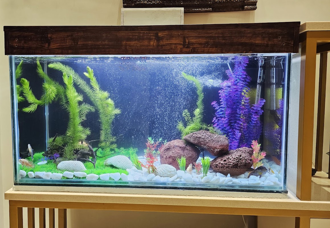 Donor Aquarists store photo 5