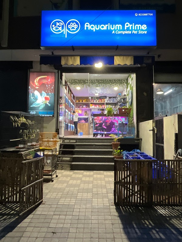 Donor Aquarists store photo 7