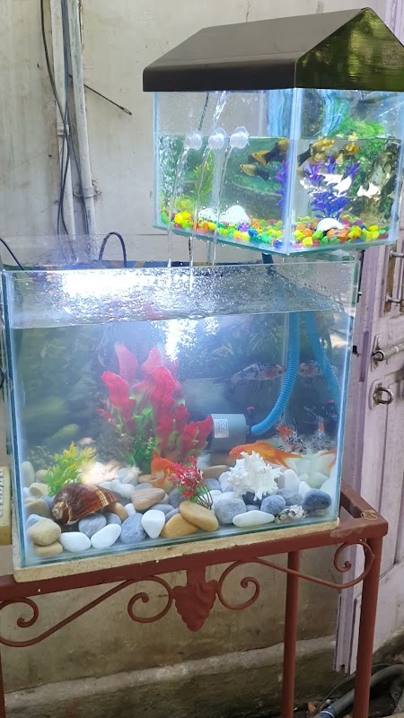 Donor Aquarists store photo 9